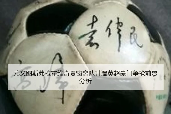 尤文图斯弗拉霍维奇夏窗离队升温英超豪门争抢前景分析