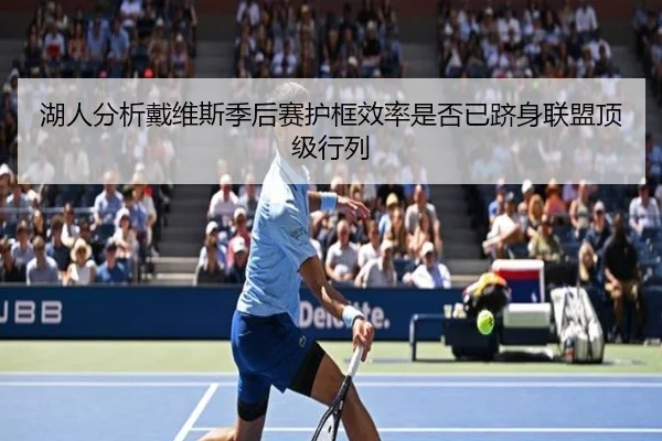 湖人分析戴维斯季后赛护框效率是否已跻身联盟顶级行列